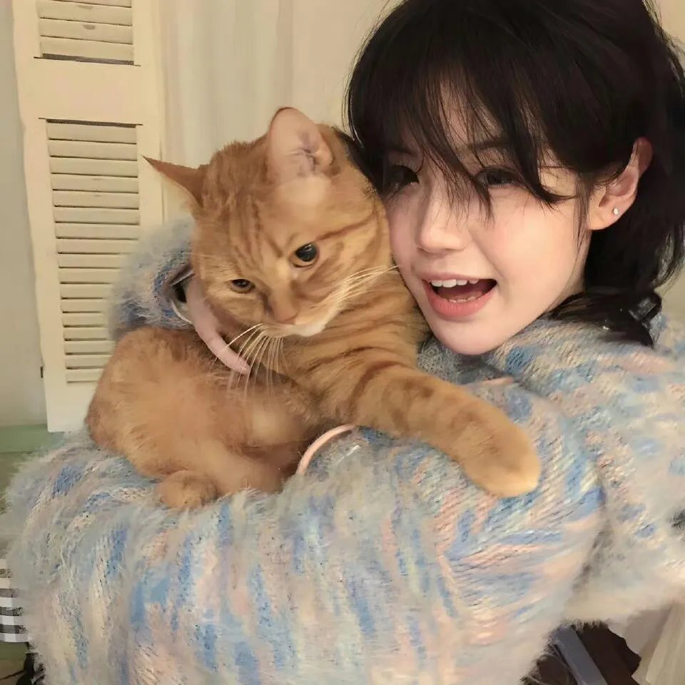 艾莎· 照片1