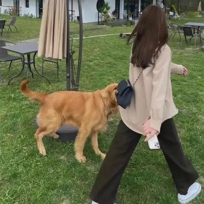 推荐 她行走于黑暗中